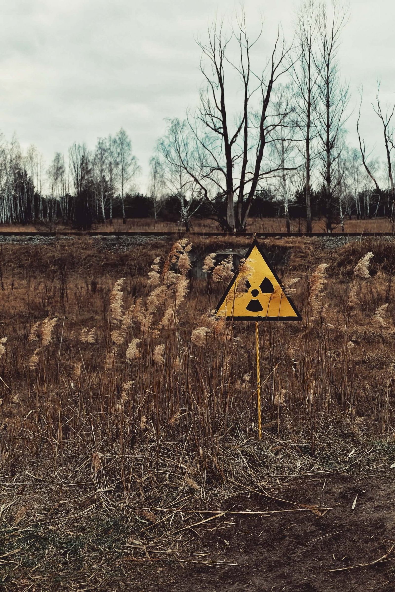 environment, human